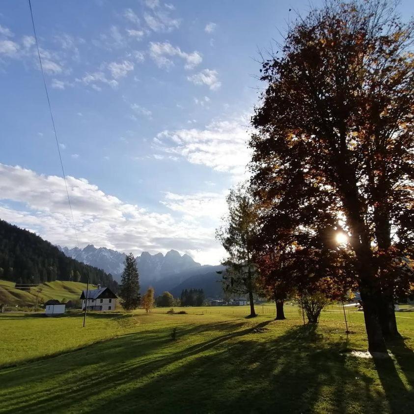 Apartmán Haus Gruenwald Gosau Exteriér fotografie