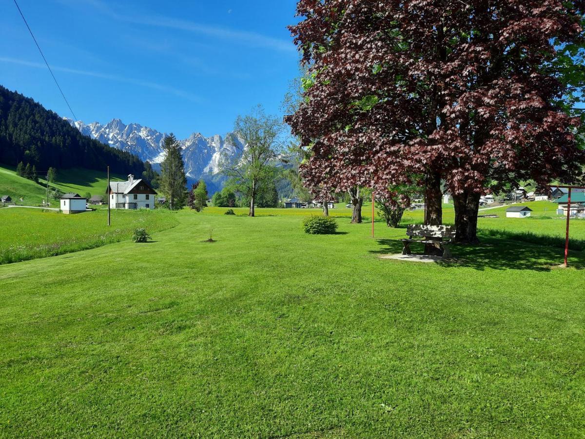 Apartmán Haus Gruenwald Gosau Exteriér fotografie