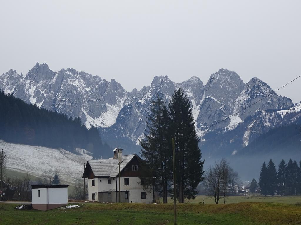 Apartmán Haus Gruenwald Gosau Exteriér fotografie