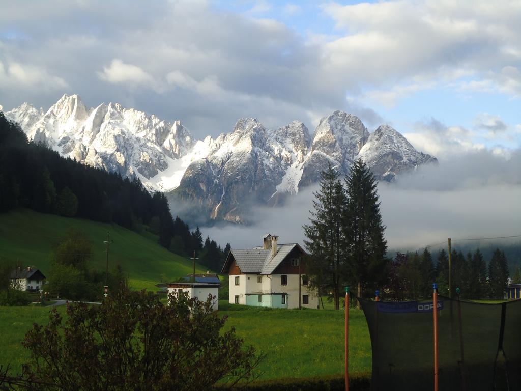 Apartmán Haus Gruenwald Gosau Exteriér fotografie